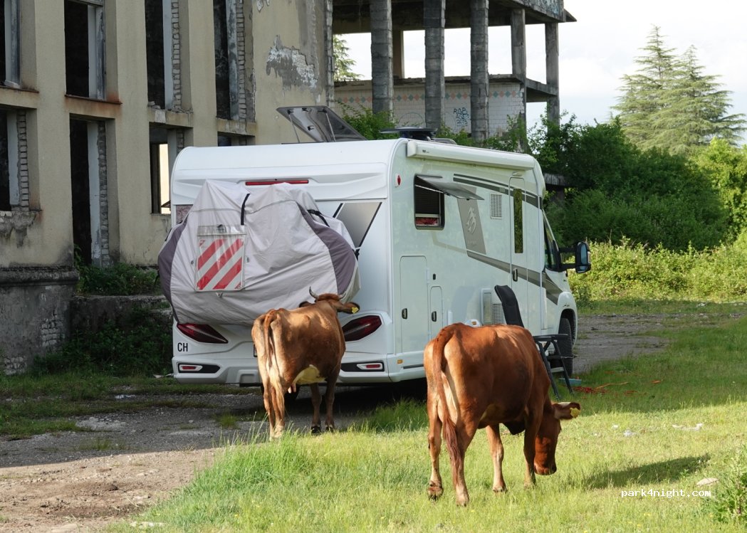 (HWMH+JJG) Zeda Etseri - Unnamed Road — foto 2