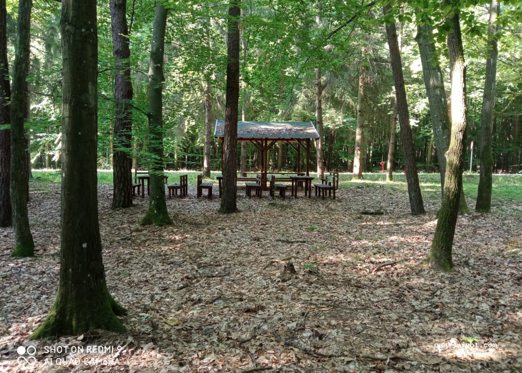 (8988) Kálócfa - 86 — foto