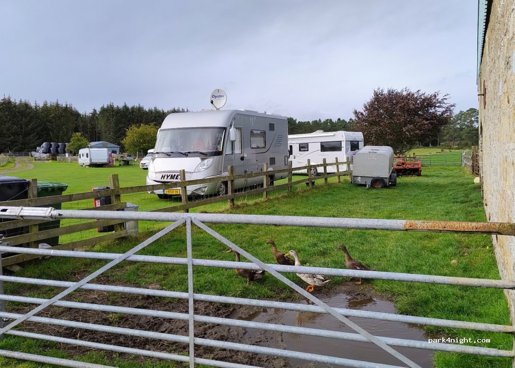 Davochfin Farm | Caravan and Motorhome Site — foto 2