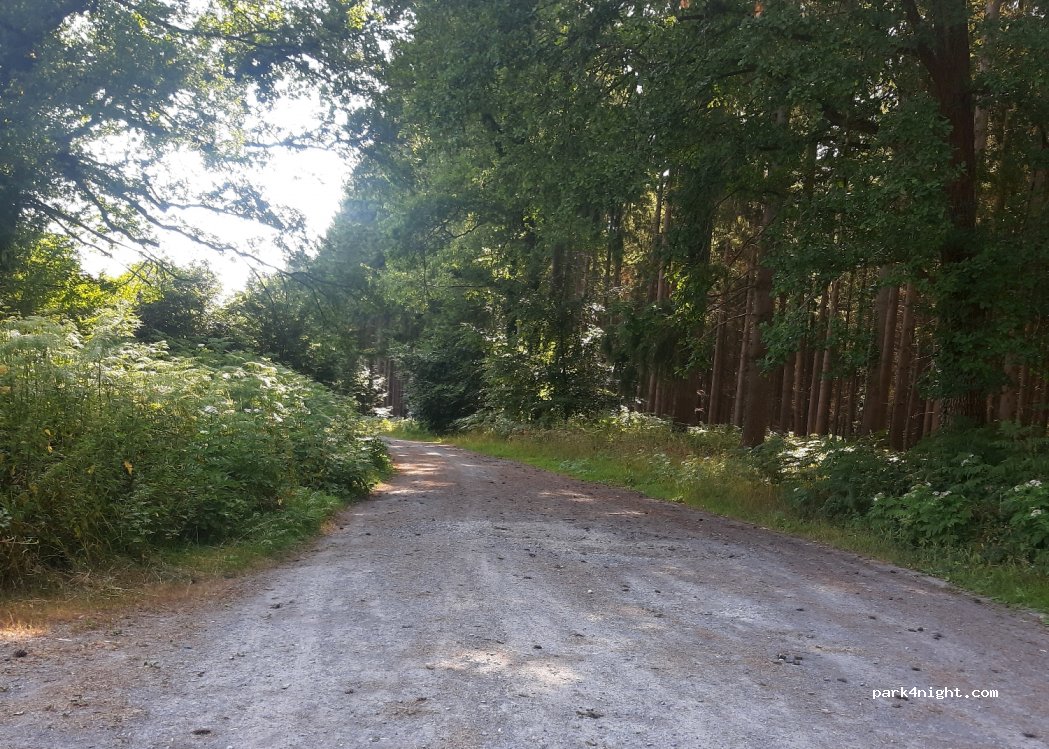 (02600) Montgobert - — foto 2