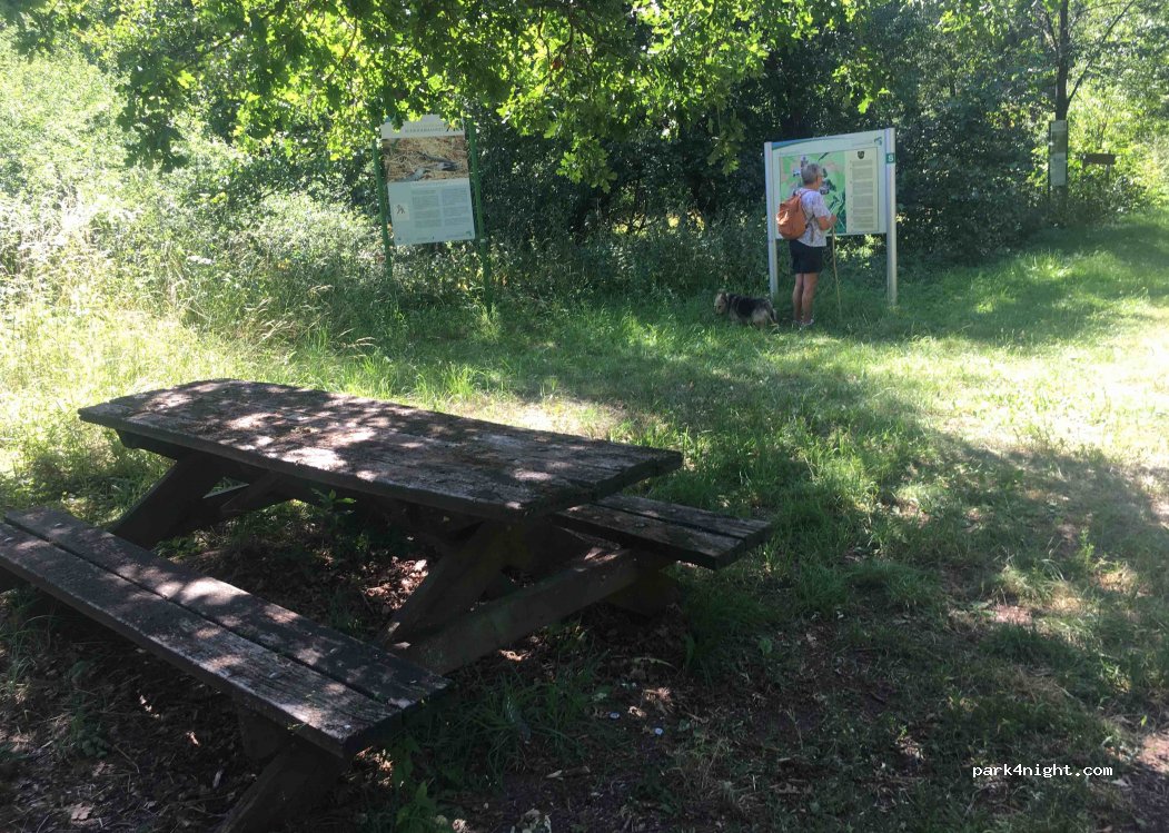 (55471) Sargenroth - Unnamed Road — foto