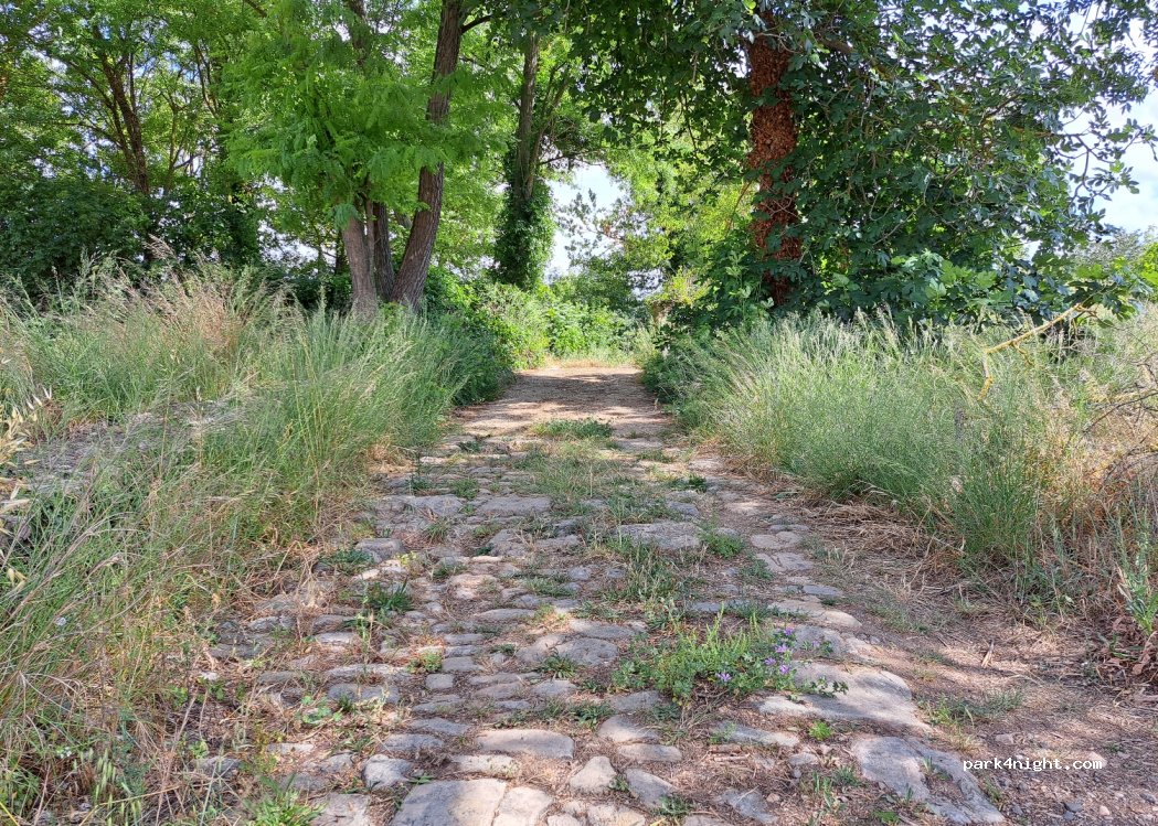 (34120) Castelnau-de-Guers - — foto 3