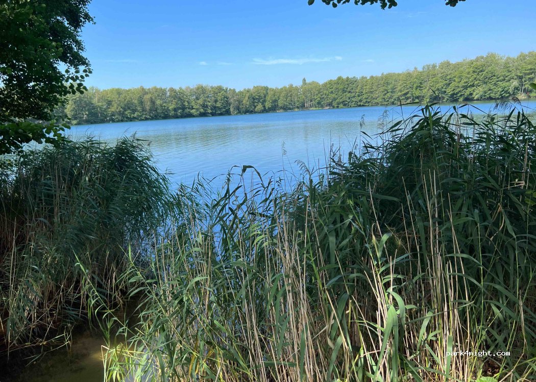 Naturcamping Tonsee FKK — foto 3