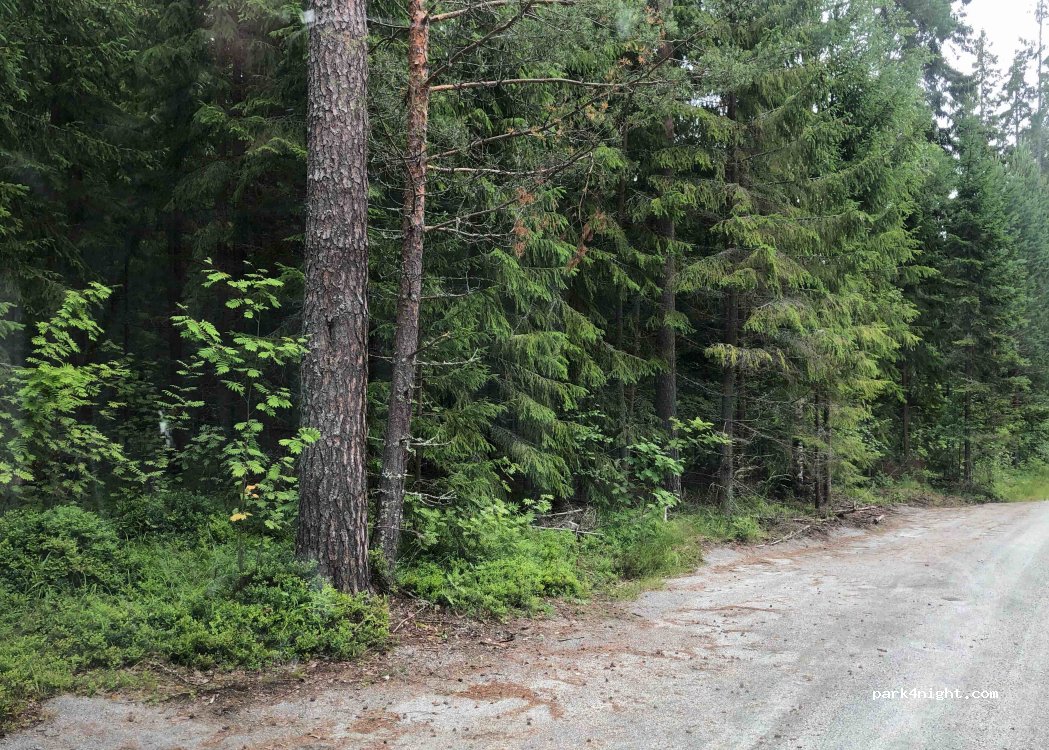 (58450) Savonlinna - 297 Puistometsäntie — foto