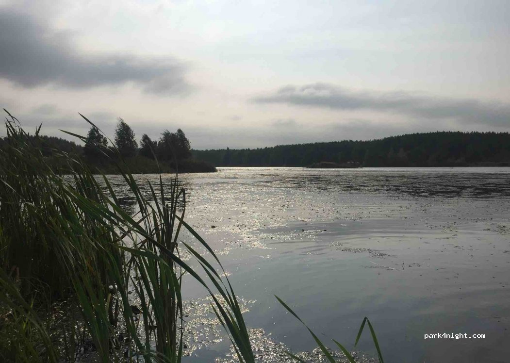 (140241) Novocherkasskoe - Unnamed Road — foto