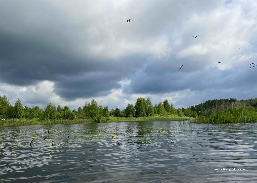 (140241) Novocherkasskoe - Unnamed Road — foto 2