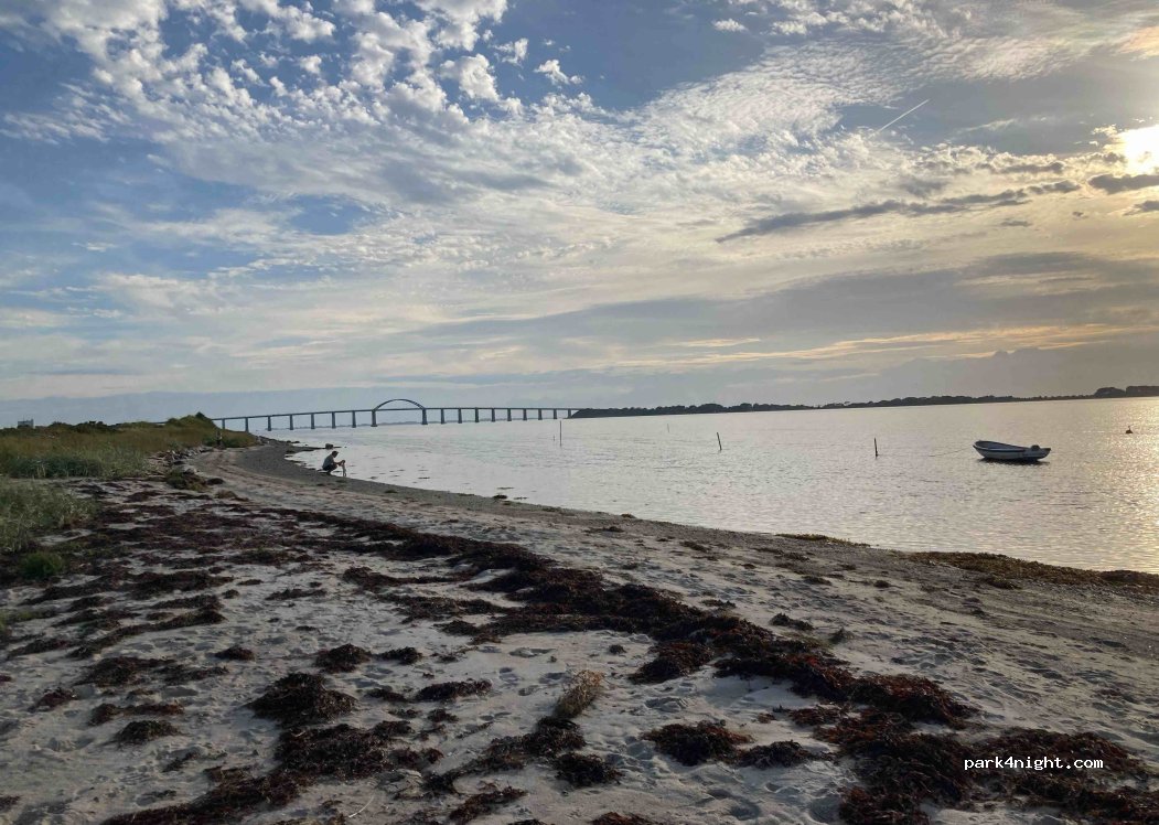 (5900) Rudkøbing - 16 Rifbjerg Strand — foto 3