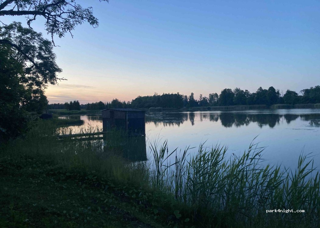 Dižilmājas dīķis — foto 5