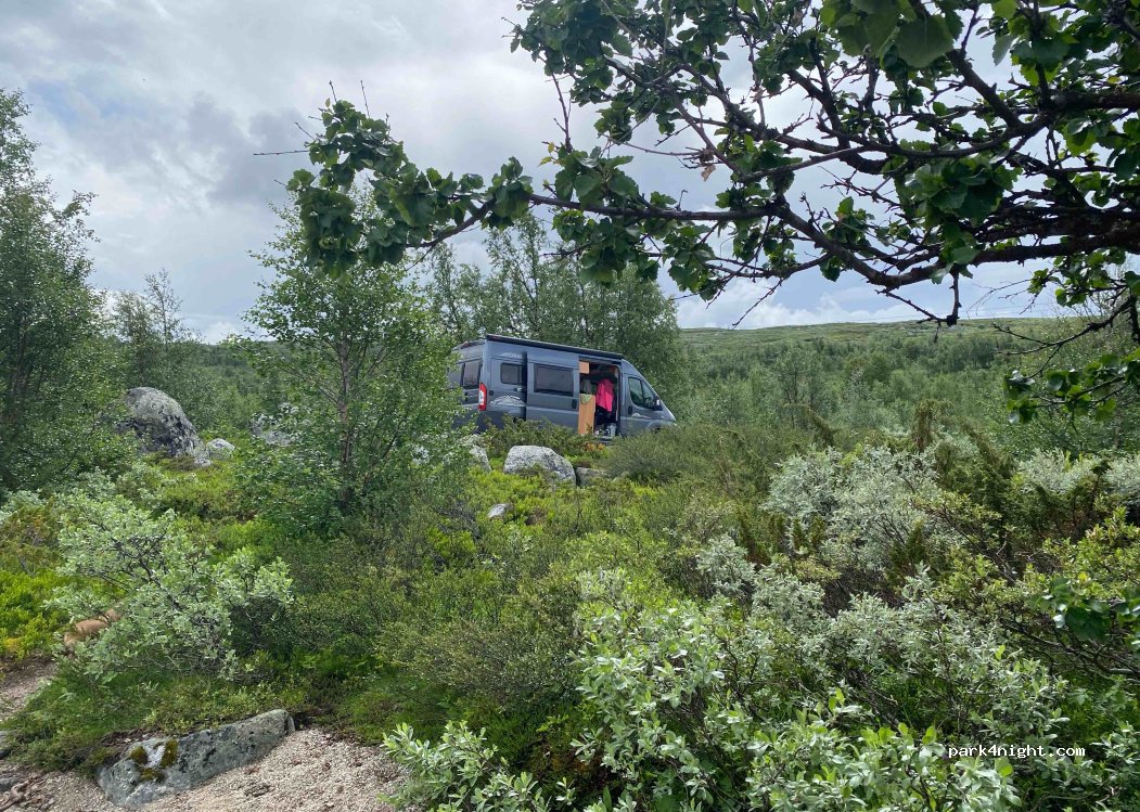 (3593) Haugastøl - 125 Verpestølvegen — foto 4