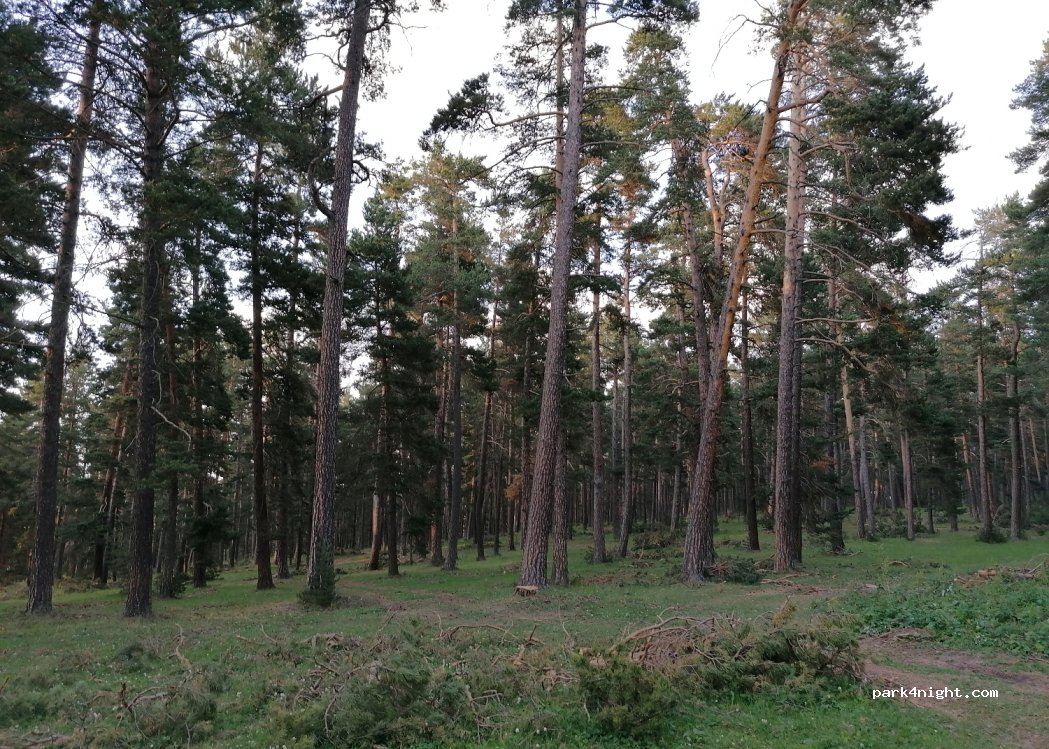 (25370) Şenkaya - — foto 2