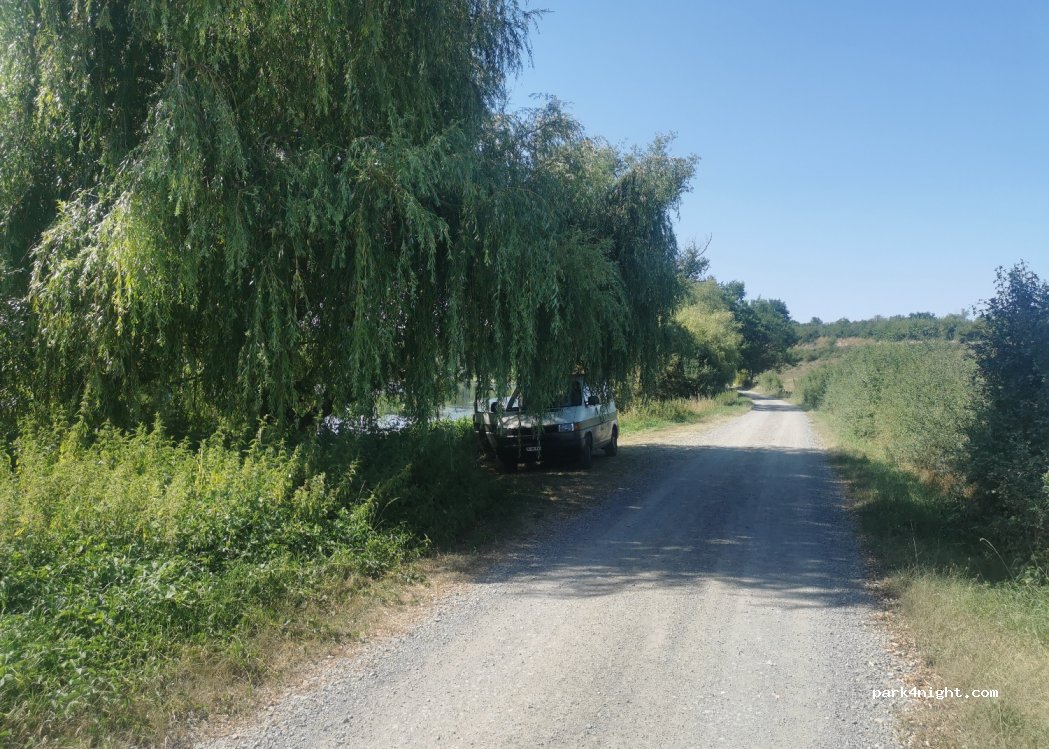 (42510) Nervieux - 5 Chemin des Bords de Loire — foto 2