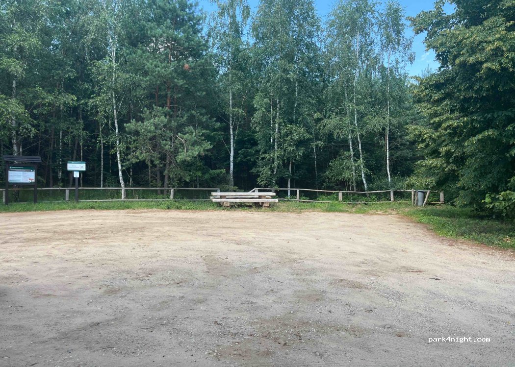 (06-452) Ościsłowo - DK60 — foto
