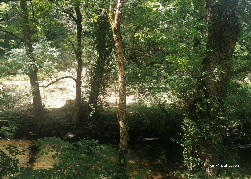 (87120) Eymoutiers - 2 Chemin des Barrys — foto