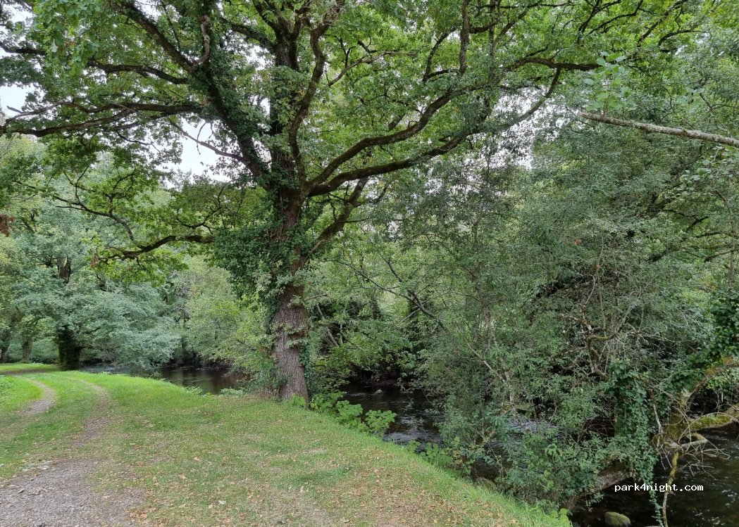 (87120) Eymoutiers - 2 Chemin des Barrys — foto 4