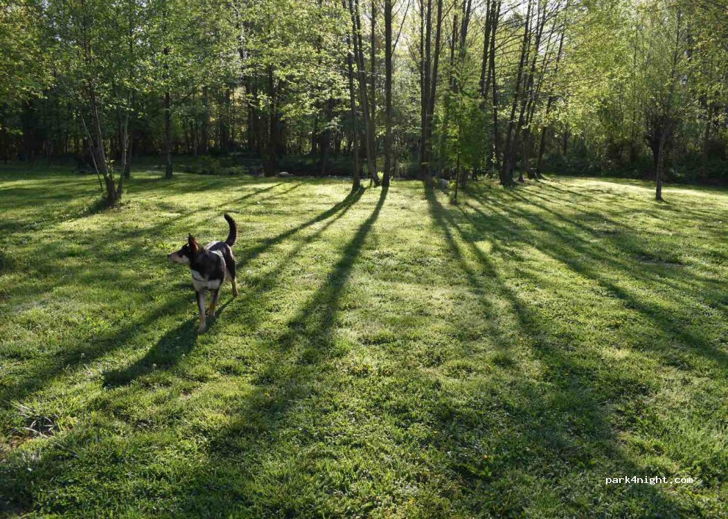 Camping Gradina Ioanei — foto 4