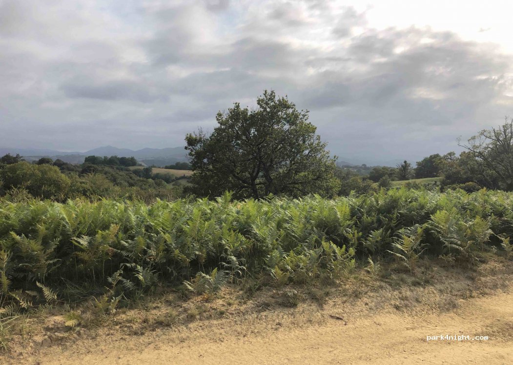 (64310) Saint-Pée-sur-Nivelle - Unnamed Road — foto
