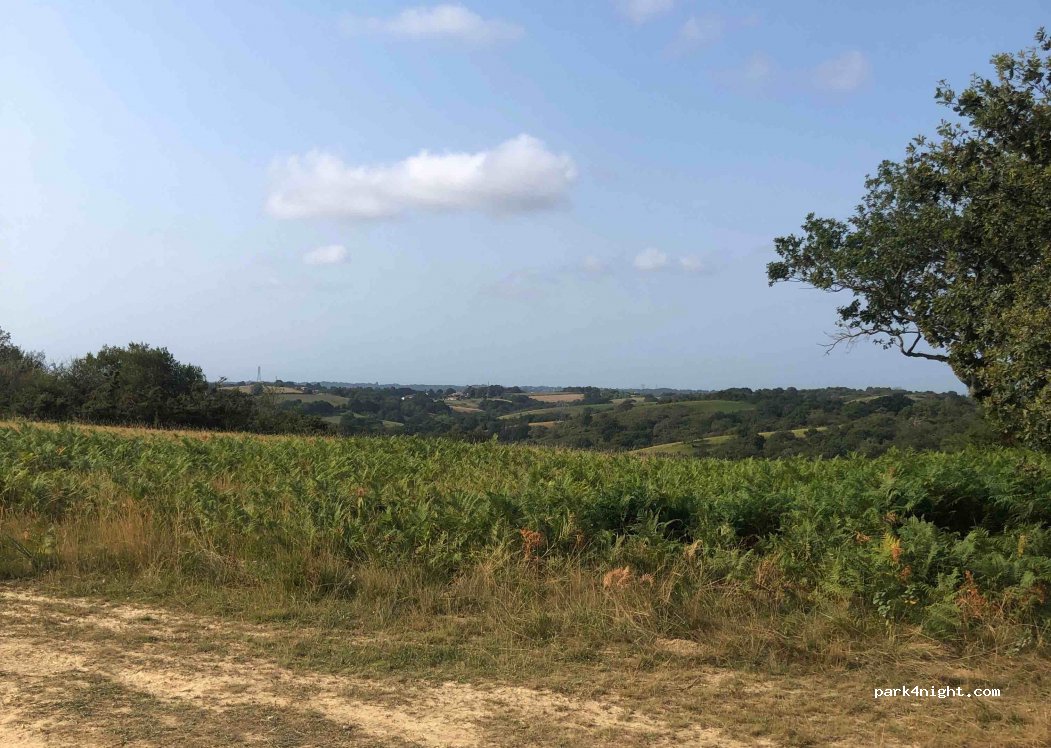 (64310) Saint-Pée-sur-Nivelle - Unnamed Road — foto 2