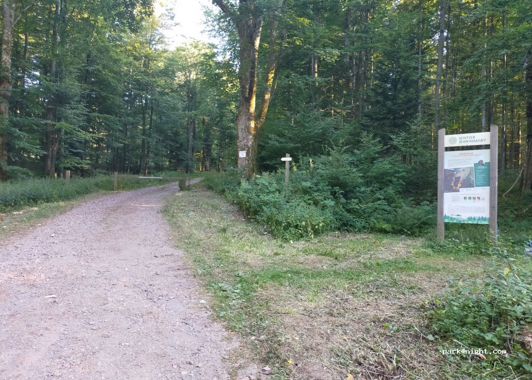 (67130) Grandfontaine - 12 Col du Donon — foto