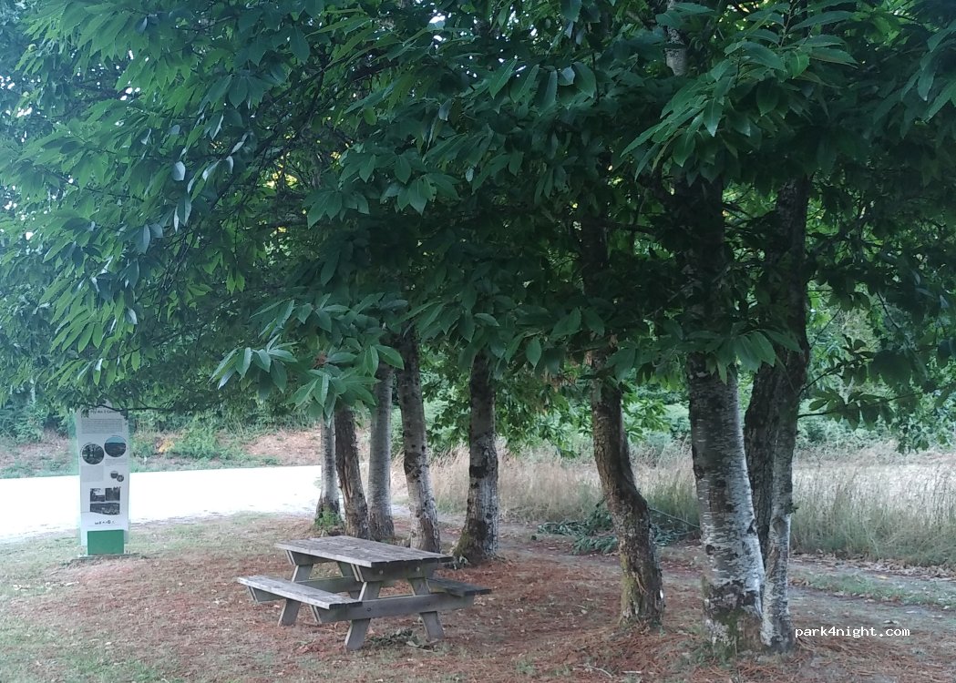 (23320) Saint-Vaury - — foto 4