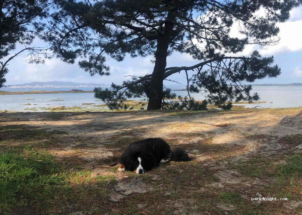 (36620) Vilanova de Arousa - 39 Calle Terrón — foto 2