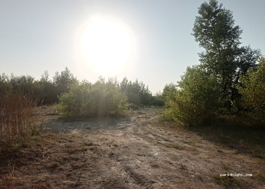(58240) Fleury-sur-Loire - — foto