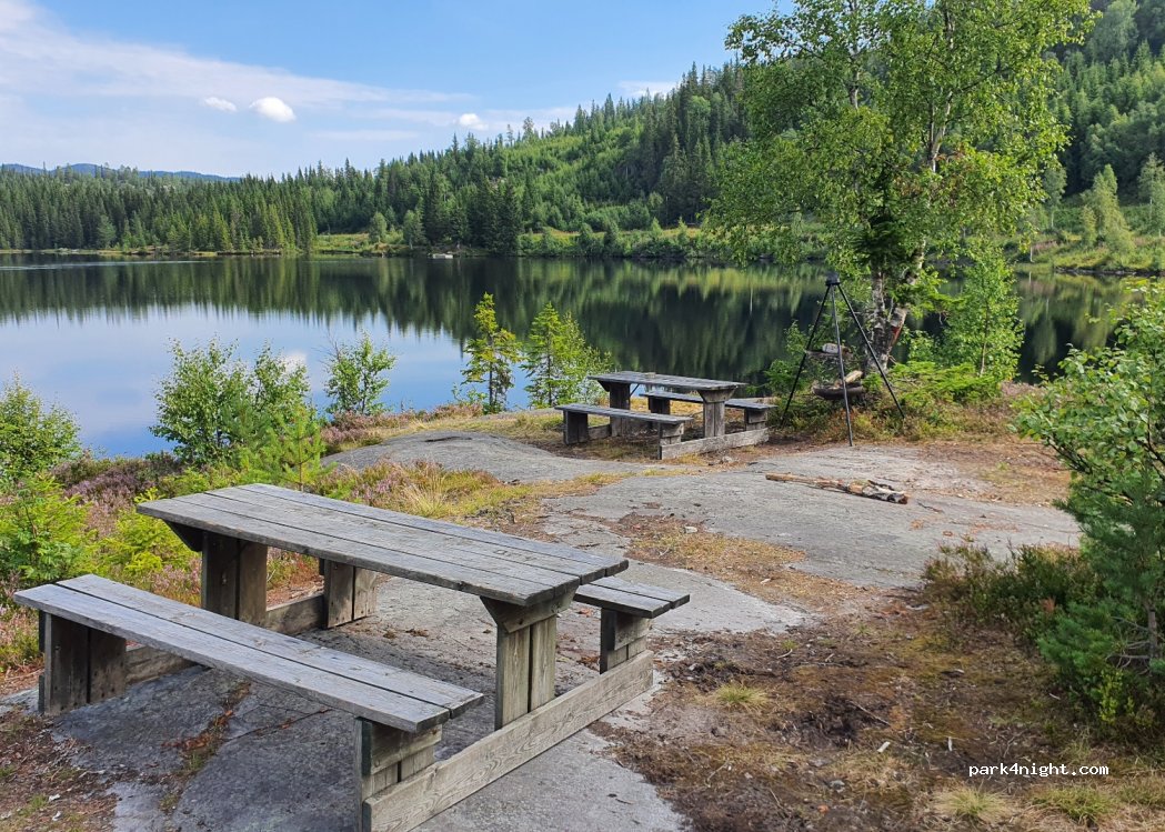 (3891) Lårdal - Lårdalsvegen — foto 2