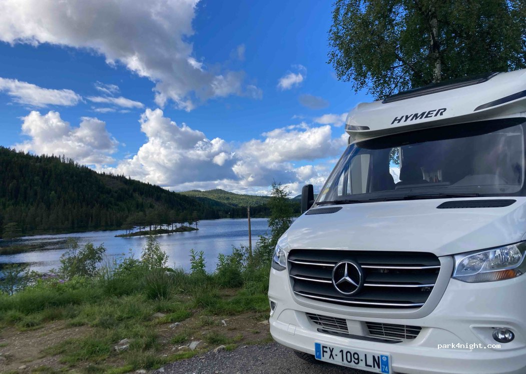 (3891) Lårdal - Lårdalsvegen — foto 4