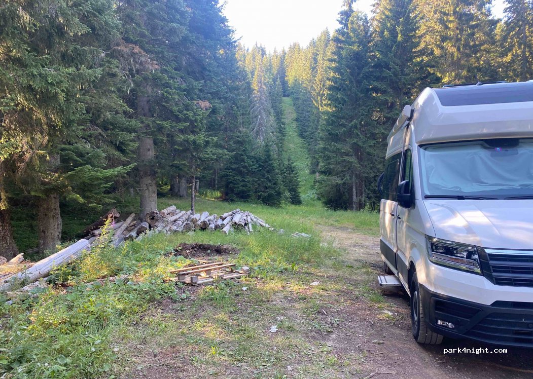 (84220) Pitomine - Vilotija Blečića — foto 2