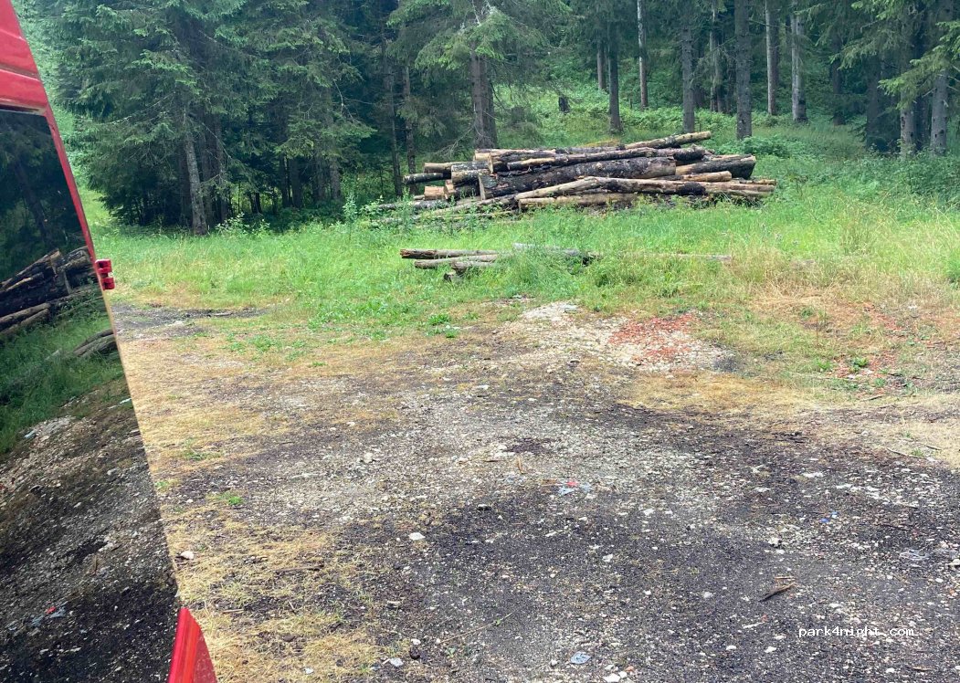 (84220) Pitomine - Vilotija Blečića — foto 3
