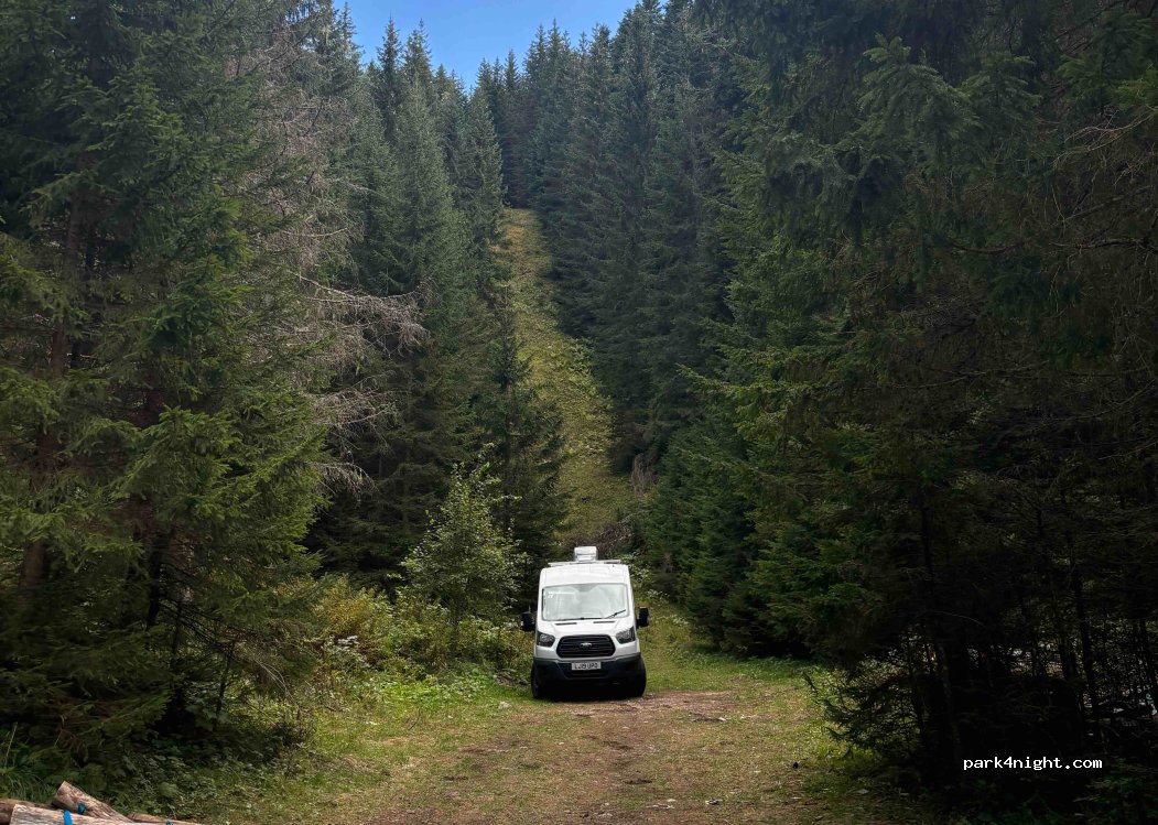 (84220) Pitomine - Vilotija Blečića — foto 5