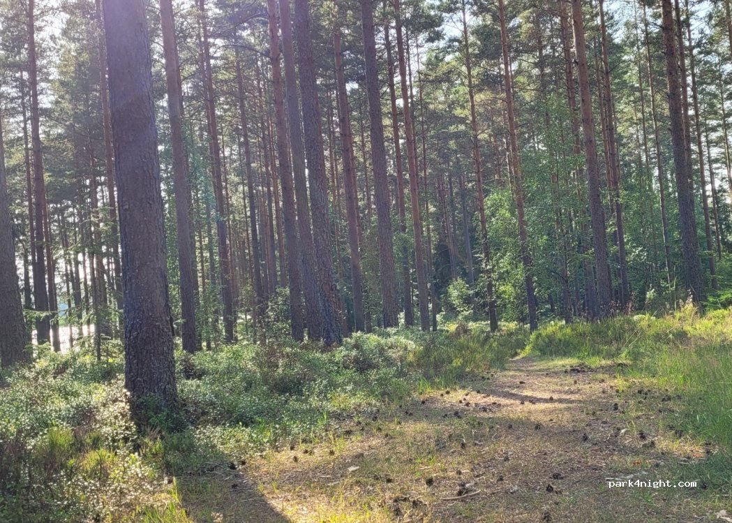 (567 91) Vaggeryd - Svalovägen — foto 3
