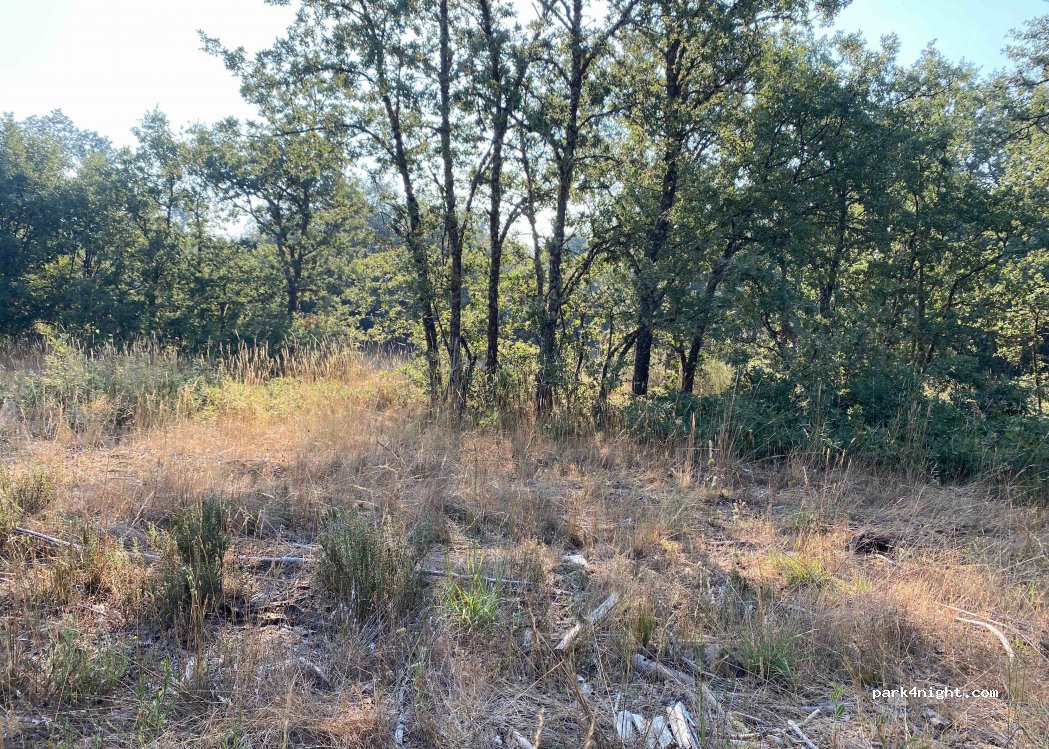 (24722) Santa Colomba de Somoza - LE-142 — foto 3