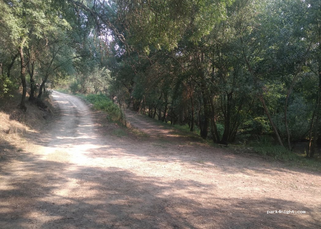 (37160) Villarino de los Aires - Unnamed Road — foto