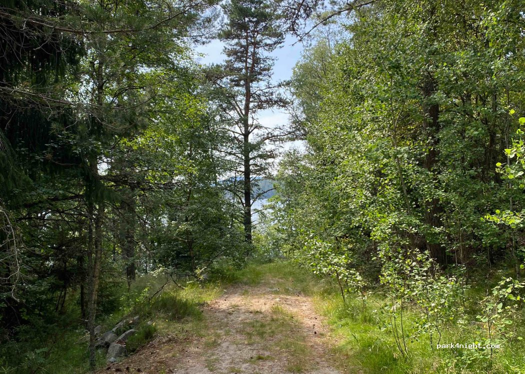 (4737) Hornnes - Bjoravegen — foto