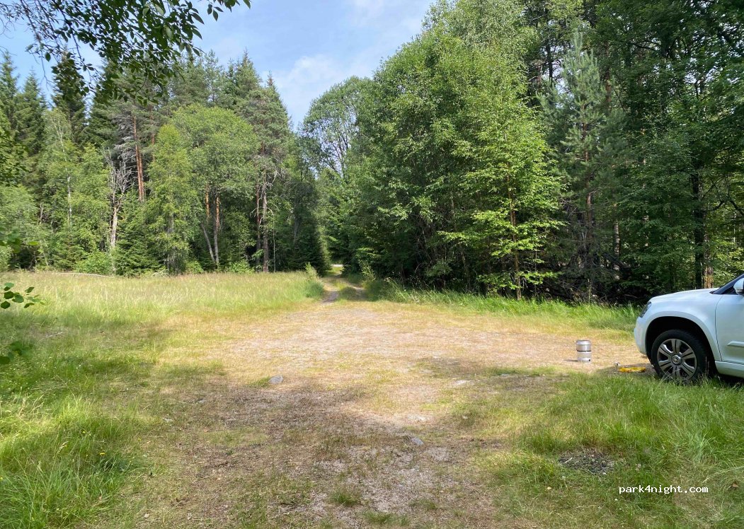 (4737) Hornnes - Bjoravegen — foto 2