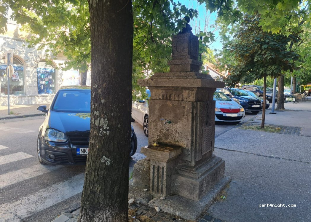 (81400) Nikšić - Njegoševa — foto