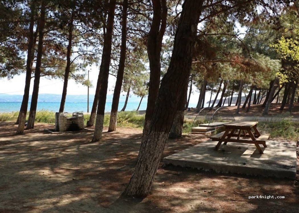 (17500) Kavaklı/Gelibolu - D550 — foto