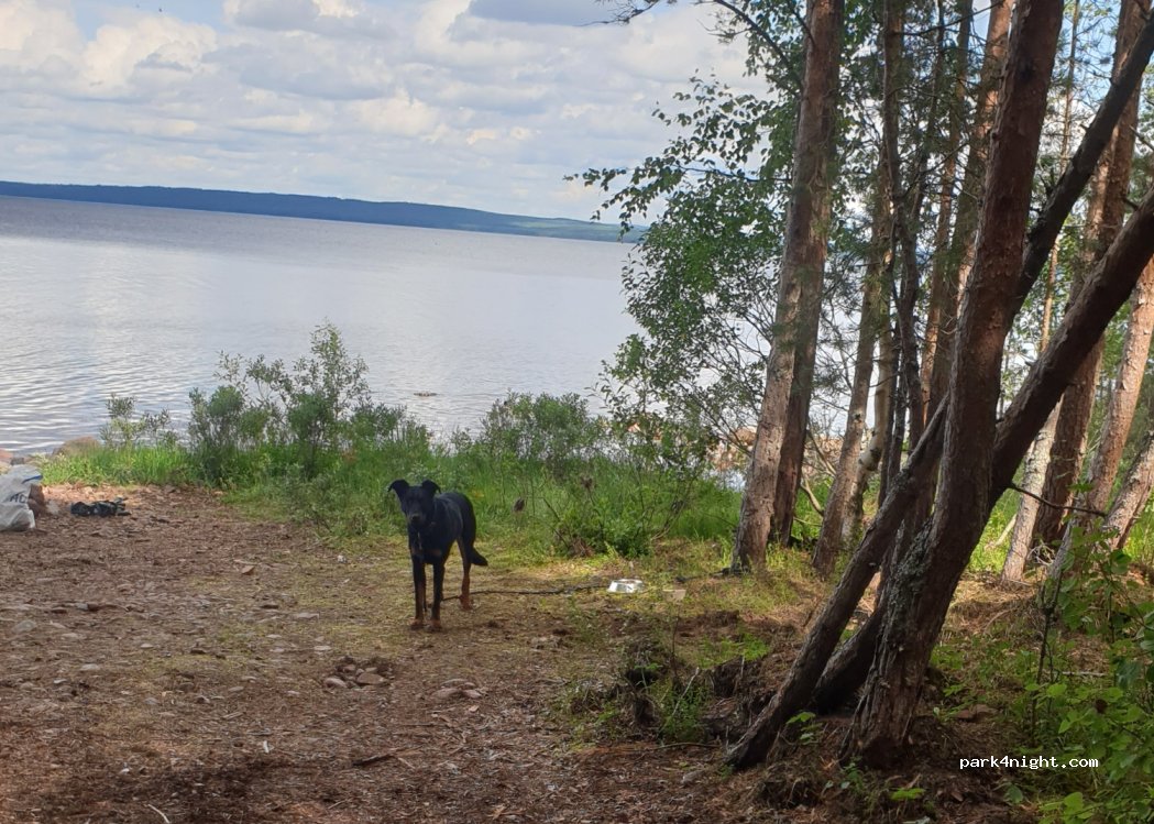 (793 60) Siljansnäs - — foto 3