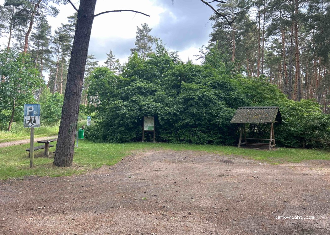 (16845) Dreetz - L141 — foto