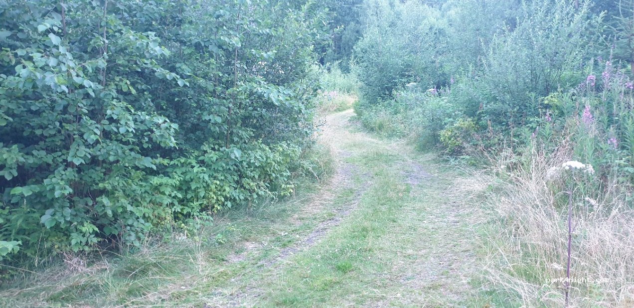(686 94) Rottneros - — foto 3