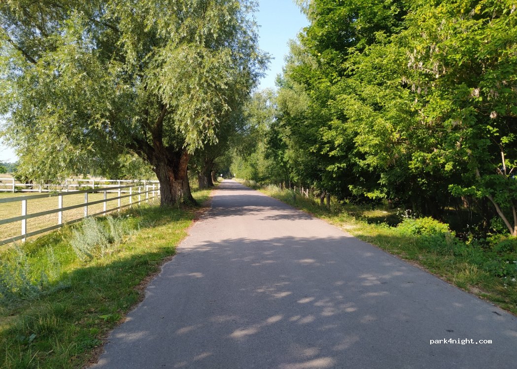 (12-250) Nowe Guty - Unnamed Road — foto 3