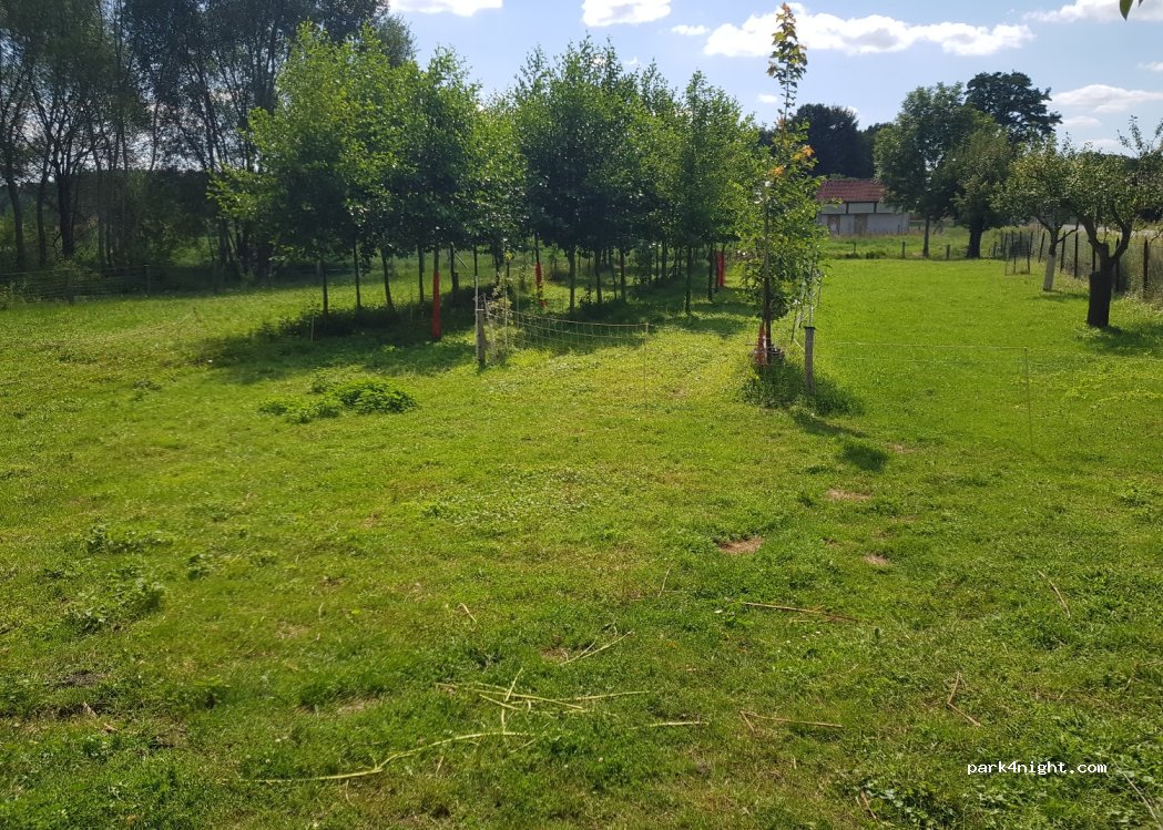 (15913) Spreewaldheide - 1 Feldstraße — foto 4