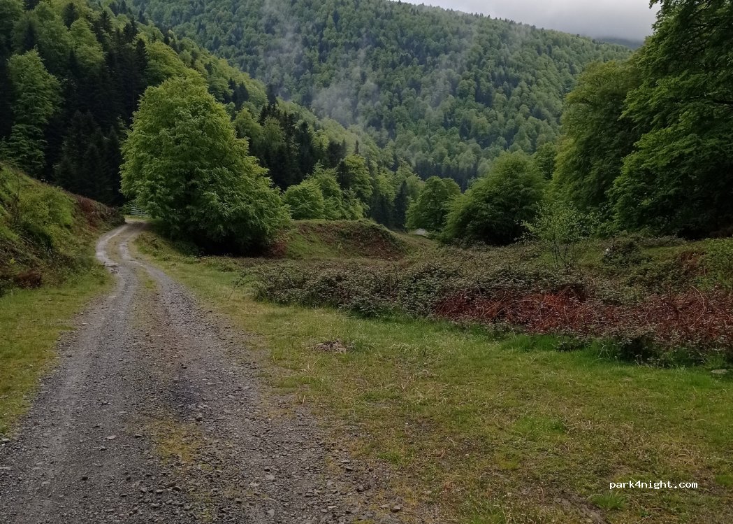 (64560) Sainte-Engrâce - — foto