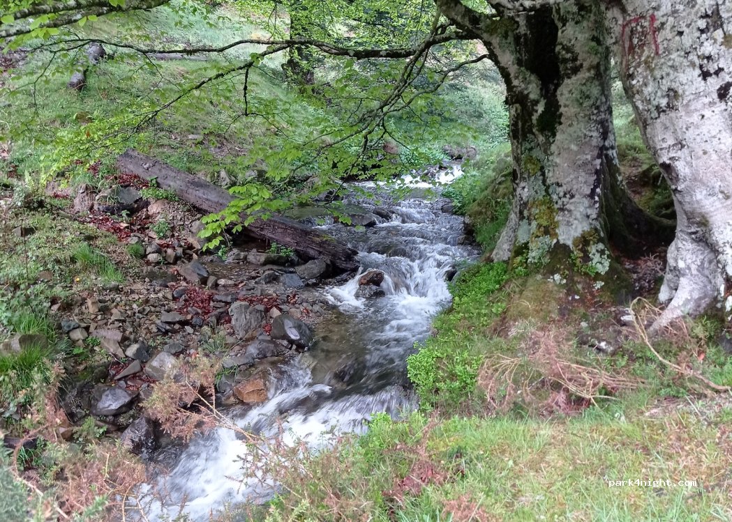 (64560) Sainte-Engrâce - — foto 2