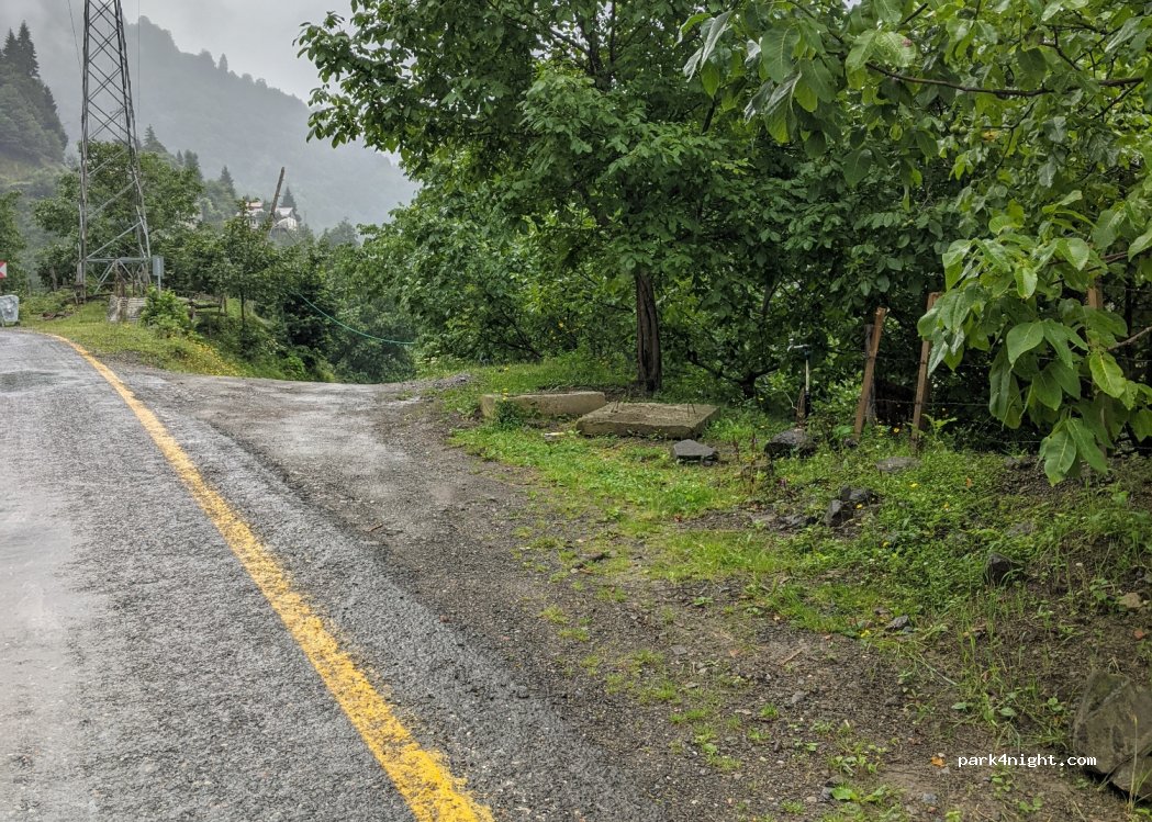 (08490) Borçka - Borçka Camili Yolu — foto 2