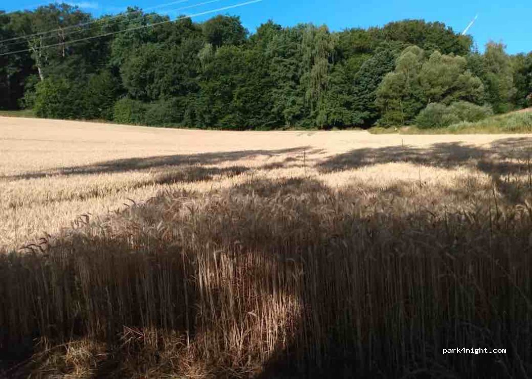 (34212) Melsungen - — foto