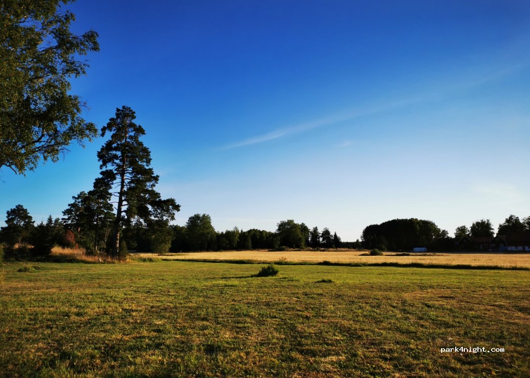 Knackarbo Skogcamping — foto 3
