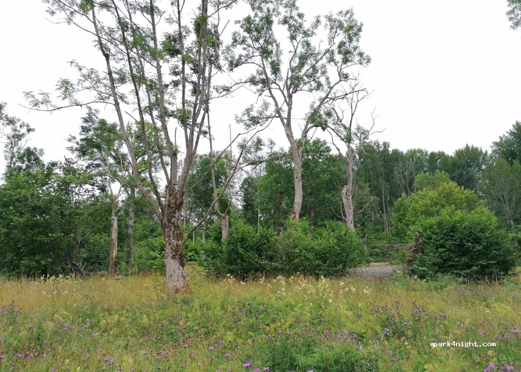 (694 92) Ålsta - Alsta Bygata — foto 2