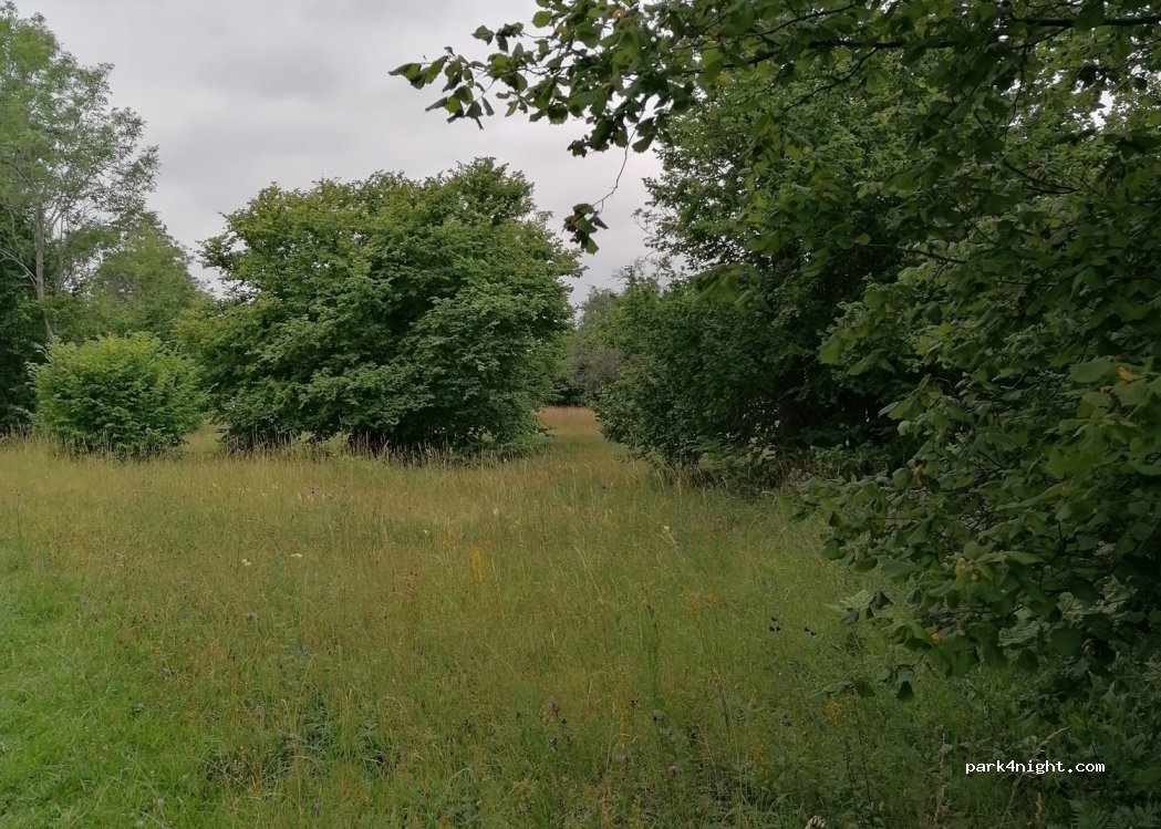 (694 92) Ålsta - Alsta Bygata — foto 3