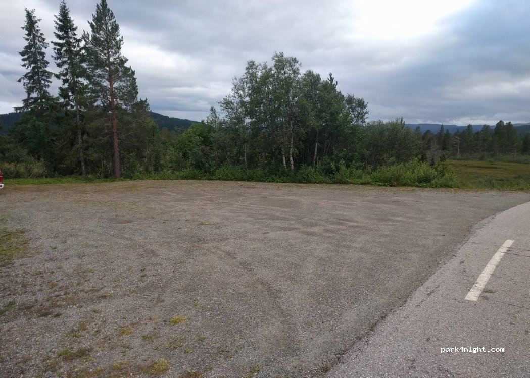 (7977) Flått - — foto